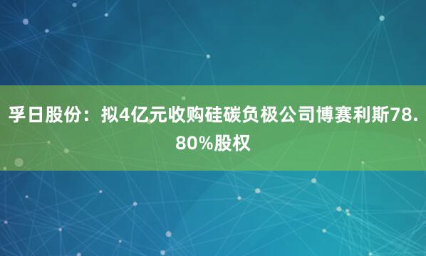 孚日股份：拟4亿元收购硅碳负极公司博赛利斯78.80%股权