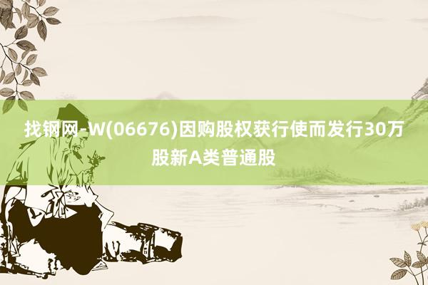 找钢网-W(06676)因购股权获行使而发行30万股新A类普通股