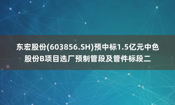 东宏股份(603856.SH)预中标1.5亿元中色股份B项目选厂预制管段及管件标段二